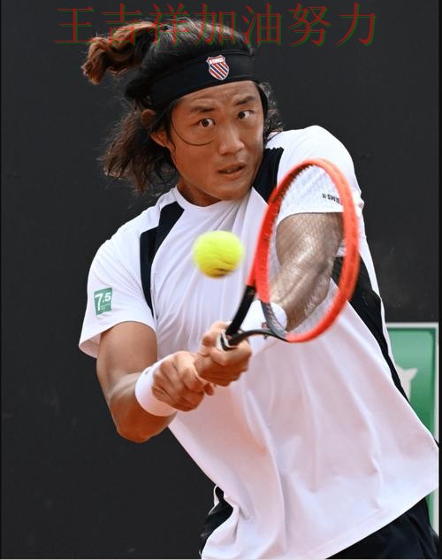 张之臻最新动态引发关注 积分榜形势更加明朗